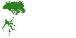 Tree Surgery High Wycombe from Majestic Tree Care Ltd Logo